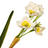 Цветок искусственный декоративный Нарцисс, 40 см, белый, Y4-7954 - фото 2