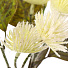 Цветок искусственный декоративный Ветвь, 55 см, белый, Y4-7935 - фото 2