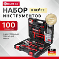 Набор слесарных инструментов Bartex, Слесарь, сталь, кейс, 100 предметов