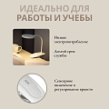 Светильник настольный 6 Вт, аккумуляторный, белый, Эра, NLED-513-6W-W, Б0057209, на прищепке - фото 10