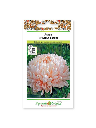 Семена Цветы, Астра, Янина Сиел, 0.3 г, цветная упаковка, Русский огород