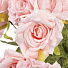 Цветок искусственный декоративный Роза букет, 50 см, розовый, Y4-7909 - фото 2