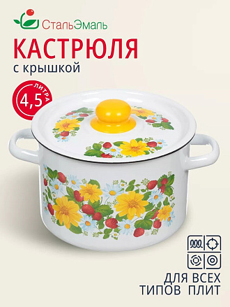 Кастрюля эмалированная сталь, 4.5 л, крышка сталь, СтальЭмаль, 1с17с, в ассортименте, индукция