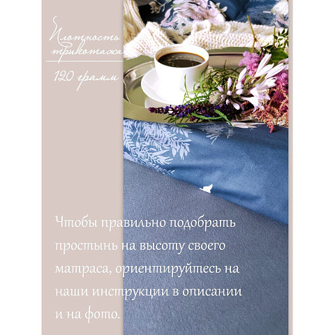 Простыня 2-сп, 160х200х20 см, 100%хл, трикотаж, Графит, на рез, Silvano