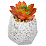 Цветок искусственный декоративный Суккулент, в кашпо, 9х9х11 см, Y4-6917 - фото 2