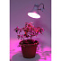 Лампочка светодиодная для растений, E27, 10 Вт, Эра, Фито FITO-10W-RB-E27-K, Б0039069 - фото 4