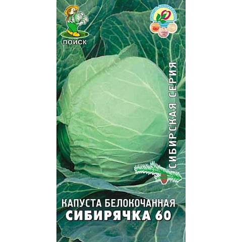 Семена Капуста белокочанная, Сибирячка 60, 0.5 г, Сибирская, цветная упаковка, Поиск