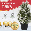 Елка новогодняя настольная, 34 см, Морозная, ель, полиэтилен, SYSPS - 0823022