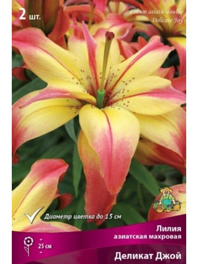 Луковицы Лилия азиатская, Деликат Джой, 14-16, 2 шт