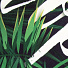 Наволочка декоративная Тропики, 100% полиэстер, 43 х 43 см, Y6-1903 - фото 3