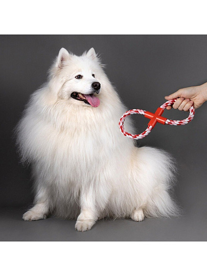 Игрушка для животных веревочная, Рыжий кот, Восьмерка