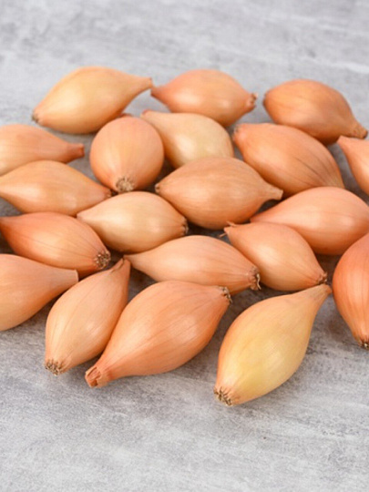 Луковицы Лук-севок, Стурон, 0.5 кг