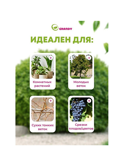 Секатор для срезки веток, молодых побегов, 190 мм, Grandy, Колибри, 402515