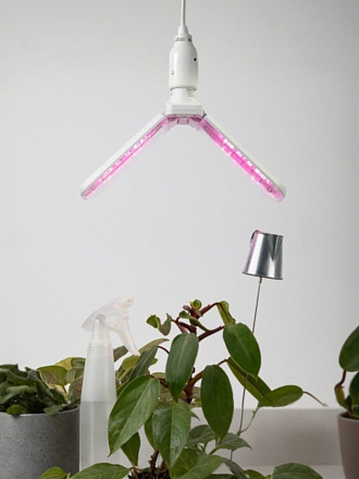 Лампа светодиодная для растений, E27, 24 Вт, 220-240 В, IP20, красно-синяя, Эра, ФИТО-20W-PFR-E27-GR, Б0064517