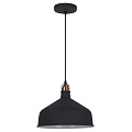 Светильник потолочный Camelion Amsterdam PL-425L C62 60 Вт E27 черный + медь