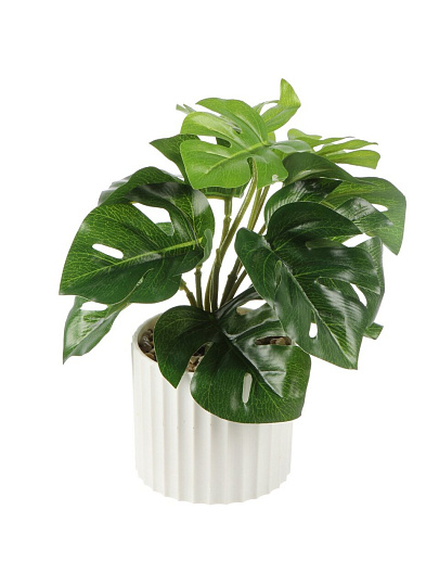 Цветок искусственный декоративный Монстера, в кашпо, 20х8 см, A300104