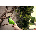 Ножницы садовые Greenworks, аккумуляторные, аккумуляторный, 2400 ход/мин, 3.6 В, 2903307 - фото 11