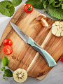 Нож кухонный Daniks, Gusto, для овощей, сталь, 9 см, рукоятка пластик, YW-A377B-PA