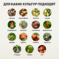Удобрение Биомолекулы, для рассады, 400 мл, Удобряй - фото 2