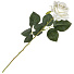 Цветок искусственный декоративный Роза, 40 см, белый, Y4-5264 - фото 2