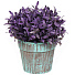 Цветок искусственный декоративный Пряные травы, в кашпо, 16 см, Y6-2052 - фото 2