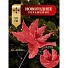 Цветок искусственный декоративный Пуансетия, 50 см, красный, Y3-1505 - фото 2