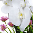 Цветок искусственный декоративный Орхидея, в кашпо, 34х13 см, белый, Y4-4919 - фото 2