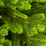 Елка новогодняя напольная, 210 см, Мисхор, ель, зеленая, хвоя литая, 136210, ЕлкиТорг - фото 2