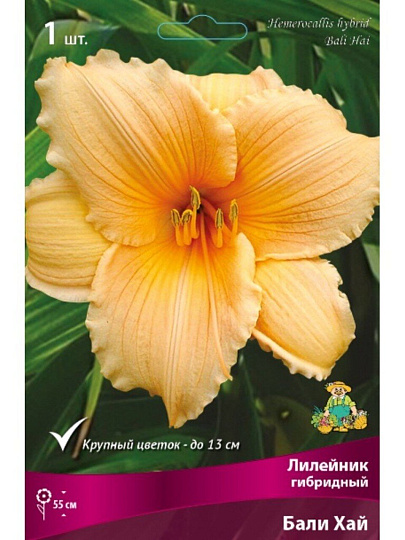 Корневище Лилейник гибридный, Бали Хай
