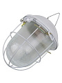 Светильник General Lighting Systems, НСП 02-100-002.01, 100 Вт, E27, на 1 лампочку, IP54, 24.6х24.6х17.2 см, с решеткой, 437822