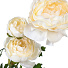 Цветок искусственный декоративный Пион, 61 см, шампань, Y4-7958 - фото 2
