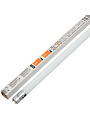 Лампа светодиодная G13, 10 Вт, 6500 К, холодный белый свет, JazzWay, Frost Pled T8-600GL, 1025326