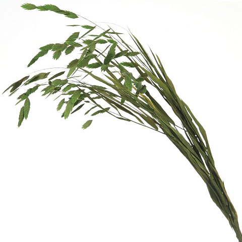 Цветок искусственный декоративный Ветвь, 60 см, зеленый, Y4-6304