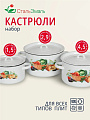 Набор посуды эмалированная сталь, 3 предмета, кастрюли 1.5,2.9,4.5 л, индукция, СтальЭмаль, Урожай, 1с33