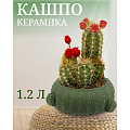 Кашпо керамика, 1.2 л, 16х9х9 см, Кактус, Y4-3079