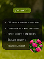 Удобрение для гортензий, пролонгированное, с биодоступным кремнием, ведро, 800 г, Bona Forte - фото 6