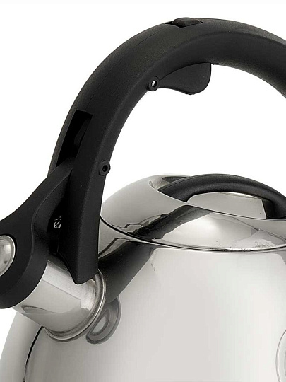 Чайник нержавеющая сталь, 2.7 л, со свистком, зеркальный, Alpenkok, индукция, AK-535