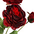 Цветок искусственный декоративный Пион, 51 см, бордовый, Y4-7943 - фото 2