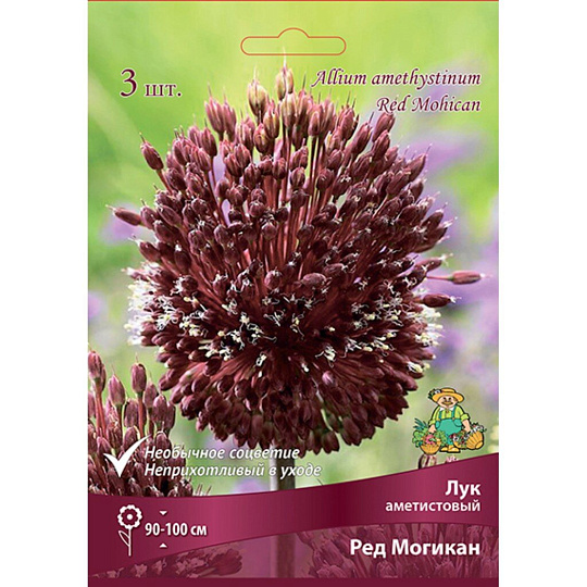 Луковицы Лук декоративный, Ред Могикан, аметистовые, 10-12/К, 3 шт