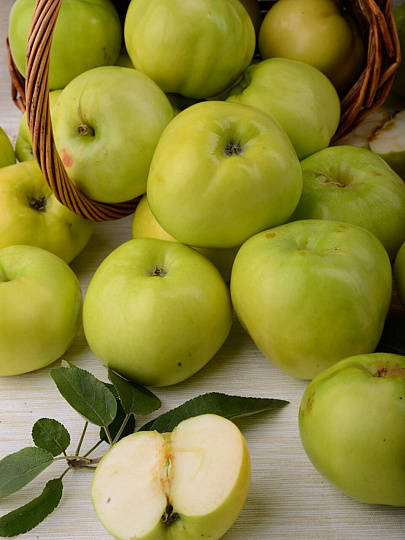 Саженцы Яблоня колонновидная, Президент, подвой 54-118 полукарлик, 752292