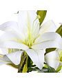 Цветок искусственный Лилия, 57 см, белый, Y4-6931 - фото 2