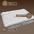 Одеяло 2-спальное, 172х205 см, Эконом, силиконизированное волокно, 200 г/м2, всесезонное, чехол 100% полиэстер, ДомВелл - фото 2