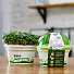 Набор для выращивания Микрозелень, Рукола, Моя микрозелень, Здоровья клад - фото 3