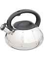 Чайник нержавеющая сталь, 3 л, со свистком, зеркальный, ручка с силиконовым покрытием, Daniks, DSC-8796 - фото 2