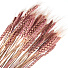 Цветок искусственный декоративный Колосья, 60 см, фиолетовый, Y4-6311 - фото 2