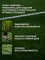 Семена Газон, Зеленый, 1 кг, мешок, Мираторг - фото 2