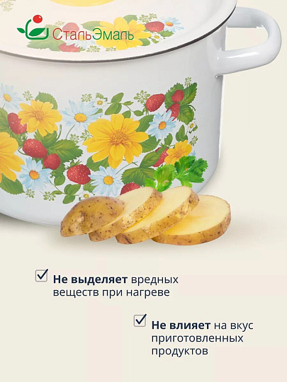 Кастрюля эмалированная сталь, 4.5 л, крышка сталь, СтальЭмаль, 1с17с, в ассортименте, индукция