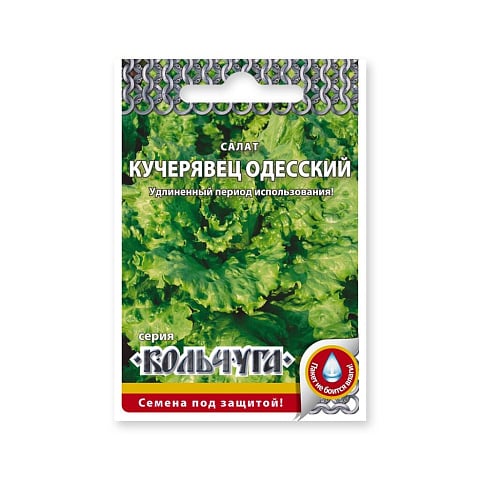 Семена Салат кочанный, Кучерявец Одесский, 1 г, Кольчуга, цветная упаковка, Русский огород