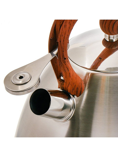 Чайник нержавеющая сталь, 2.7 л, со свистком, сатинированный, ручка бакелитовая, с силиконовым покрытием, Daniks, индукция, PR-2203
