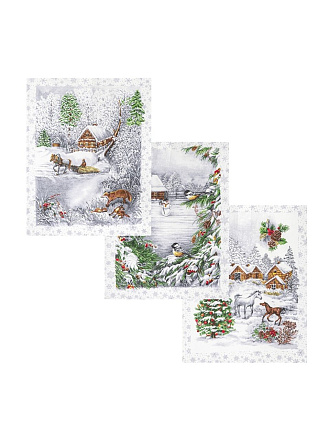 Набор полотенец кухонных 3 шт, 45х60 см, рогожка, 100% хлопок, 165 г/м2, АртДизайн, Студеная пора, Россия